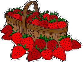Chelsea’s Strawberry Salsa recipe