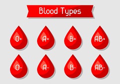 Mosquitoes like biting people with this type blood more than any other. Mosquitoes like biting people with this type blood more than any other.