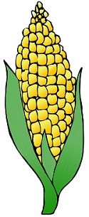 What crop produces the most cash for American farmers What crop produces the most cash for American farmers