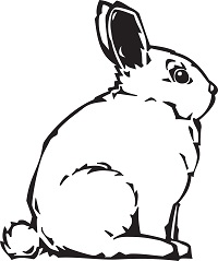 37% of business executives had this as a pet when they were younger. 37% of business executives had this as a pet when they were younger.