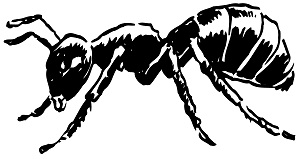 29% of people say this is the bug they hate the most. 29% of people say this is the bug they hate the most.
