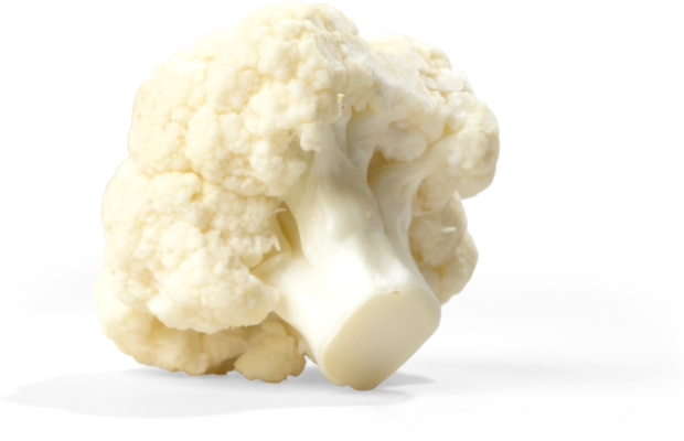 49% of people say this is their favorite veggie. 49% of people say this is their favorite veggie.