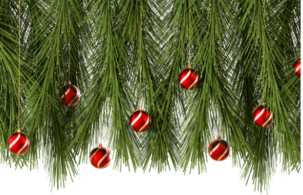 25 percent of people decorate this for Christmas