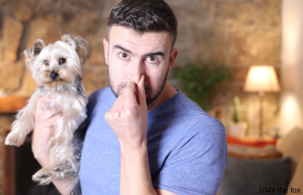 The average dog does this 4 times a week.