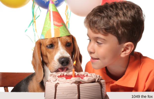 “80% of pet owners have done this at least one time for their pet.