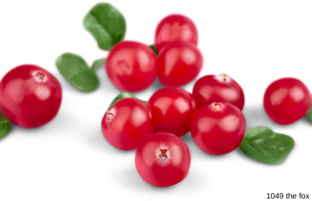 This fruit ripe is like rubber balls.  They have tiny air pockets inside that allow them to float and bounce around.