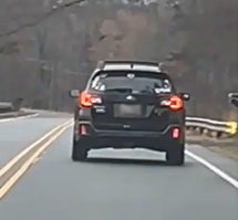 Dog Gets Zoomies in the Car