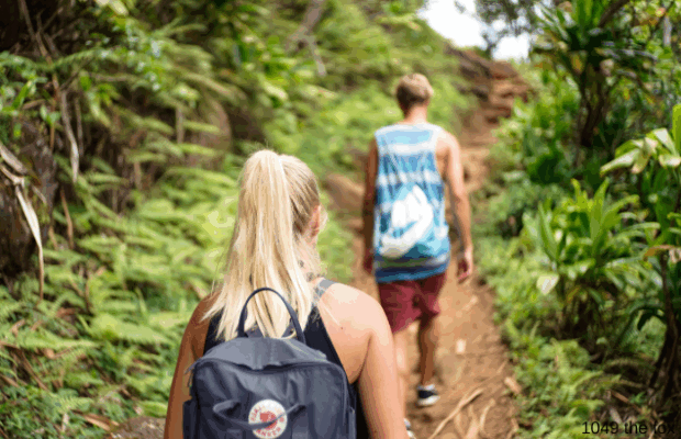 53% of singles would do this activity on a first date.
