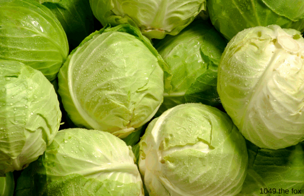 47% of people say this is their favorite vegetable 47% of people say this is their favorite vegetable