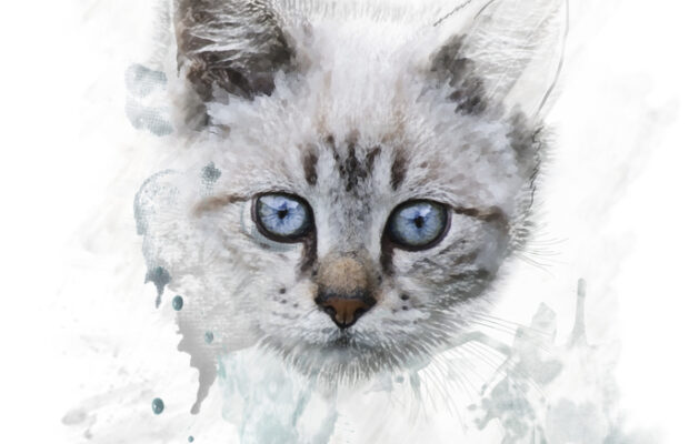 35% of people own more than one of these.