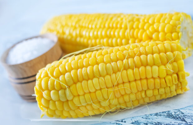 91% of people will eat this at some point during the Summer.