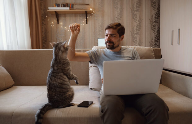 31% of cats have ruined this. 31% of cats have ruined this.